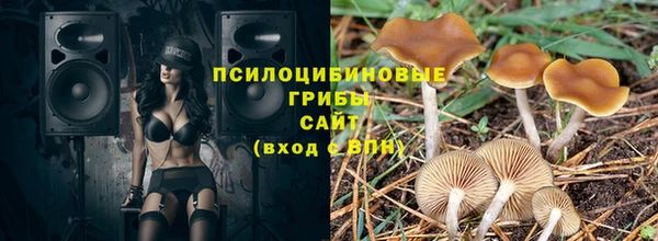 spice Абинск