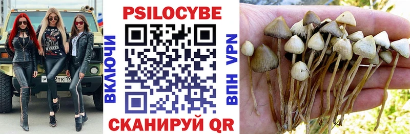 Галлюциногенные грибы ЛСД  наркотики  блэк спрут ссылка  Красково 
